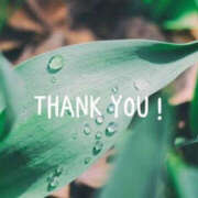 ヒメ日記 2026/03/17 20:21 投稿 川崎ふたば 華女(かのじょ) 松山店