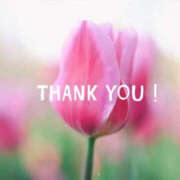 ヒメ日記 2026/04/09 21:47 投稿 川崎ふたば 華女(かのじょ) 松山店