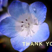 ヒメ日記 2026/04/14 20:03 投稿 川崎ふたば 華女(かのじょ) 松山店