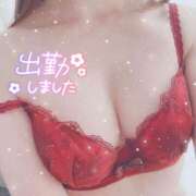 ヒメ日記 2024/12/08 12:08 投稿 ひより ココリラ吉祥寺・調布店