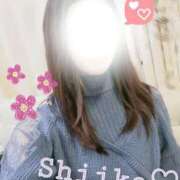 ヒメ日記 2025/04/11 07:19 投稿 詩歌(しいか) 麗しい人妻 新宿本店