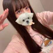 ヒメ日記 2025/07/10 10:22 投稿 なぎさ ジャパンクラブ富士