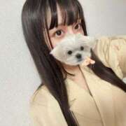 ヒメ日記 2025/08/03 12:08 投稿 なぎさ ジャパンクラブ富士