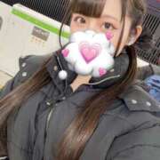 ヒメ日記 2026/01/28 09:57 投稿 なぎさ ジャパンクラブ富士