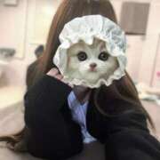 ヒメ日記 2025/12/19 21:48 投稿 七海あるか 聖リッチ女学園