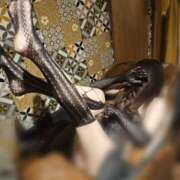 ヒメ日記 2025/12/17 15:50 投稿 悠(ゆう) 五十路エステハイブリッド(カサブランカグループ)