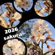 ヒメ日記 2026/03/27 09:14 投稿 悠(ゆう) 五十路エステハイブリッド(カサブランカグループ)