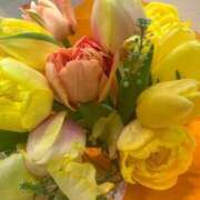 ヒメ日記 2025/04/01 17:59 投稿 れの 京都ホテヘル倶楽部