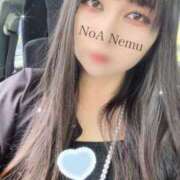ヒメ日記 2025/10/01 12:20 投稿 音夢（ねむ） NOA（ノア）