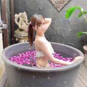 ヒメ日記 2025/11/07 15:47 投稿 音夢（ねむ） NOA（ノア）