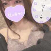 ヒメ日記 2025/12/31 12:11 投稿 音夢（ねむ） NOA（ノア）