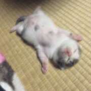 ヒメ日記 2025/01/19 22:00 投稿 みか 東京人妻セレブリティ（ユメオト）