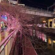 ヒメ日記 2025/04/30 18:26 投稿 みか 東京人妻セレブリティ（ユメオト）