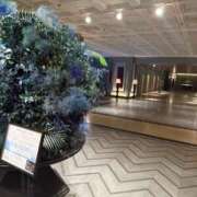 ヒメ日記 2025/07/01 17:57 投稿 みか 東京人妻セレブリティ（ユメオト）