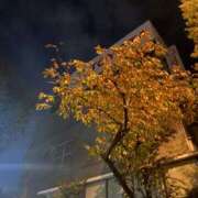 ヒメ日記 2025/11/17 22:16 投稿 みか 東京人妻セレブリティ（ユメオト）