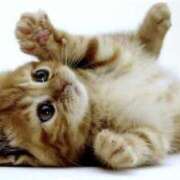 ヒメ日記 2025/11/25 16:51 投稿 みか 東京人妻セレブリティ（ユメオト）