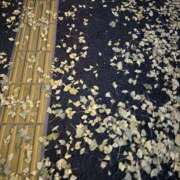 ヒメ日記 2025/12/01 20:30 投稿 みか 東京人妻セレブリティ（ユメオト）