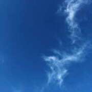 ヒメ日記 2025/01/20 15:41 投稿 りの ニューヨークニューヨーク