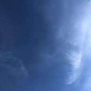 ヒメ日記 2025/01/27 10:13 投稿 りの ニューヨークニューヨーク