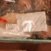 ヒメ日記 2025/01/27 14:05 投稿 りの ニューヨークニューヨーク