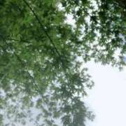 ヒメ日記 2025/04/14 09:47 投稿 りの ニューヨークニューヨーク