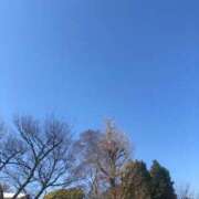 ヒメ日記 2025/06/27 10:18 投稿 りの ニューヨークニューヨーク