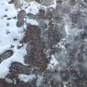 りの おはようございます！ ニューヨークニューヨーク