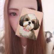 ヒメ日記 2026/02/08 00:42 投稿 菜々緒-ななお【FG系列】 ほんとうの人妻 厚木店【FG系列】