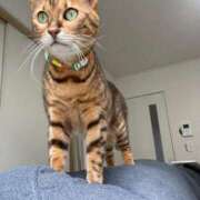 ヒメ日記 2025/06/19 09:15 投稿 えあ ヌーベル・マリエ