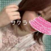 ヒメ日記 2024/12/18 04:46 投稿 サクラ ラブコレクション