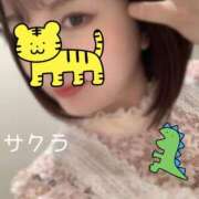 ヒメ日記 2024/12/18 08:31 投稿 サクラ ラブコレクション