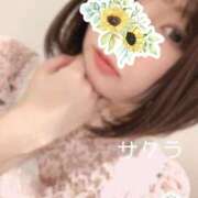 ヒメ日記 2024/12/19 13:46 投稿 サクラ ラブコレクション