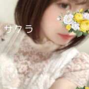 ヒメ日記 2024/12/19 17:01 投稿 サクラ ラブコレクション