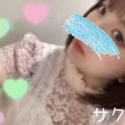 ヒメ日記 2024/12/19 17:16 投稿 サクラ ラブコレクション