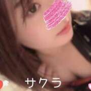 ヒメ日記 2024/12/20 07:46 投稿 サクラ ラブコレクション