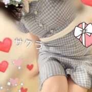 ヒメ日記 2025/03/13 19:46 投稿 サクラ ラブコレクション