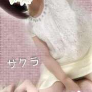 ヒメ日記 2025/03/21 04:46 投稿 サクラ ラブコレクション