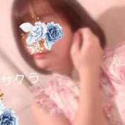 ヒメ日記 2025/03/24 09:16 投稿 サクラ ラブコレクション