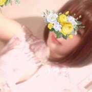 ヒメ日記 2025/03/24 11:01 投稿 サクラ ラブコレクション