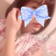 ヒメ日記 2025/03/24 14:01 投稿 サクラ ラブコレクション