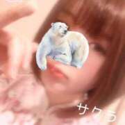 ヒメ日記 2025/03/25 09:31 投稿 サクラ ラブコレクション