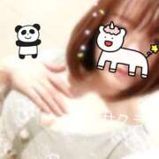 ヒメ日記 2025/03/30 17:31 投稿 サクラ ラブコレクション