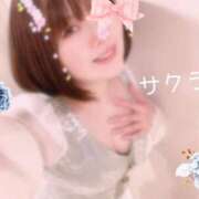 ヒメ日記 2025/03/30 17:46 投稿 サクラ ラブコレクション