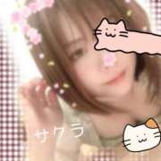 ヒメ日記 2025/03/31 12:01 投稿 サクラ ラブコレクション