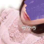 ヒメ日記 2025/04/01 08:16 投稿 サクラ ラブコレクション