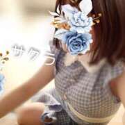 ヒメ日記 2025/04/02 04:46 投稿 サクラ ラブコレクション