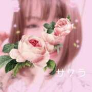 ヒメ日記 2025/04/02 14:31 投稿 サクラ ラブコレクション