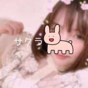 ヒメ日記 2025/04/02 14:46 投稿 サクラ ラブコレクション