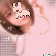 ヒメ日記 2025/04/04 07:31 投稿 サクラ ラブコレクション