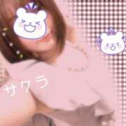 ヒメ日記 2025/04/04 12:46 投稿 サクラ ラブコレクション